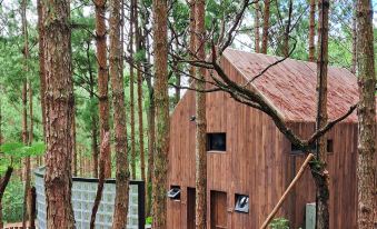 Mo Stay - Forest Resort