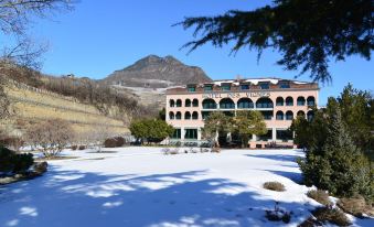 Hotel des Vignes