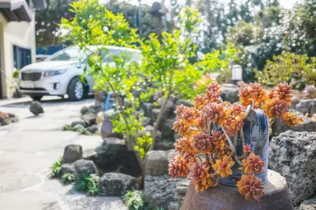 Seogwipo Haengbok Pension Отели рядом с достопримечательностью «Soesokkak Estuary»