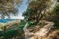 Holiday Park Olive Tree