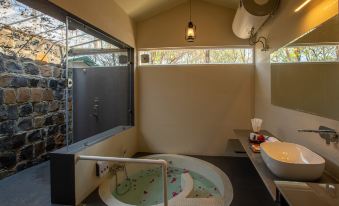 The Riverwood Forest Retreat - Kanha