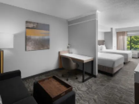 SpringHill Suites Grand Rapids Airport Southeast Hotels in Cascade