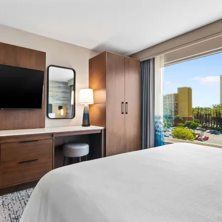 Embassy Suites by Hilton Anaheim South