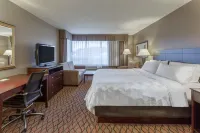 Holiday Inn Eau Claire South I-94