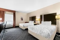 Best Western Boerne Inn  Suites Hotels in Boerne