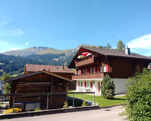 Bärnermutz # 2 Hotel di Lenk