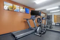 Comfort Inn Opelika - Auburn - Gym