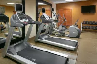 Hilton Garden Inn Omaha West - Fitnessstudio