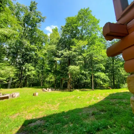 Perfect cozy cabin w/ tree house on 3 acres of woods near skiing, hiking & DWG