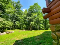 Perfect cozy cabin w/ tree house on 3 acres of woods near skiing, hiking & DWG