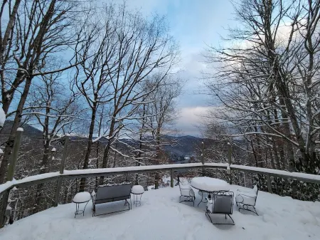 Quiet 3 bedroom cabin in the woods, amazing mountain and lake views, huge deck