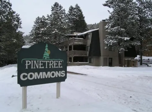 2 Blocks from Resort Base! 2b-2ba Newly Remodeled!