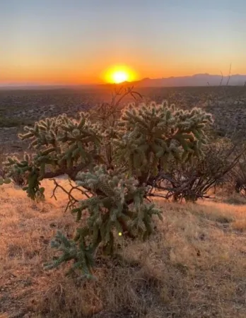 Nestled in Catalina Mountains with Amazing Views and sunsets. Отели в г. Каталина