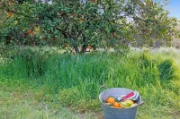 Casita Kaweah - The perfect nature escape!