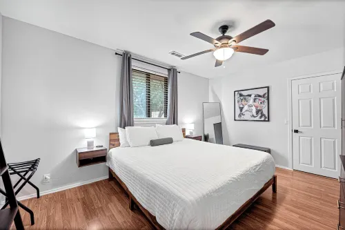 Game Day Getaway: Pet-Friendly Razorback Stay