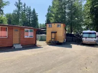 Cabin #4 Lake Nahwatzel Resort - New Tiny Cabin!