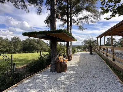 beautiful country house Hotels near Blue Cypress Lake