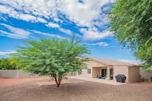 Cactus oasis in Suburban Phoenix