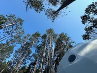 Löyly Luxury Dome, Hot Tub, Sauna, Plunge, King, Queen, Kitchen, Sleeps 4, N. MI