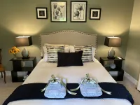 Escape to your cozy Mars Hill Cottage, near Asheville Hotels in Madison County