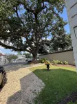Quirky historic home, fully renovated! Designer interior! Plush linens! Firepit! Citi Trends附近的飯店