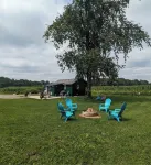 Secluded Country Cabin - Homestays
