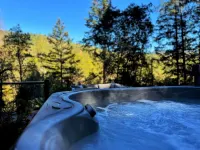 Chalet in the woods guesthouse.