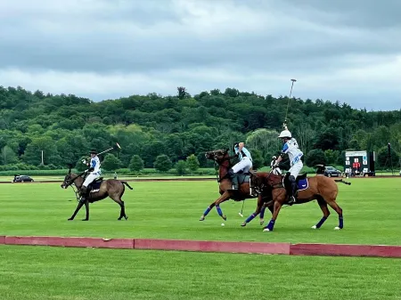 Family home by Polo fields with great yard & game rm. EV charger, pet friendly!