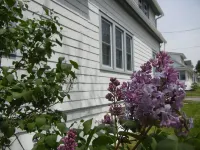 2-Bedroom Vacation Home in Hammondsport Near Keuka Lake