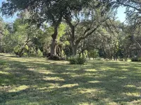 Charming Cottage on Private Estate-2 Min to Main St!  WiFi, Pool, Grill