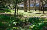 Yosemite Forks/Bass Lake - Sugar Pine Retreat