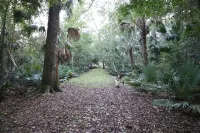Fishing, Hiking & Quad Riding in Ocala National Forest on the Ocklawaha
