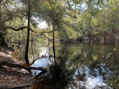 Cozy river front retreat on beautiful Withlacoochee River.  Near theme parks.