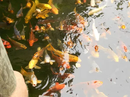 Exquisitely Remodeled Beachside Condo W/ Whitewater Views