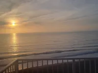 Williams Surf Side  Ocean front & turtles   condo  2 king BR in Ormond Beach FL