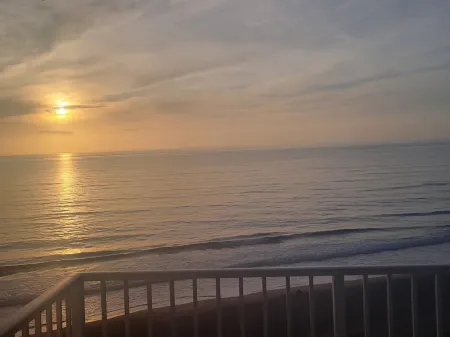 Williams Surf Side  Ocean front & turtles   condo  2 king BR in Ormond Beach FL