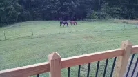 The Ranch in Mt Airy