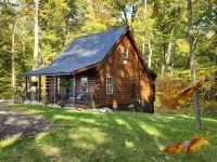 The Wildflower - Private cabin in wooded setting