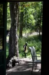 The Dan Patch Cabin