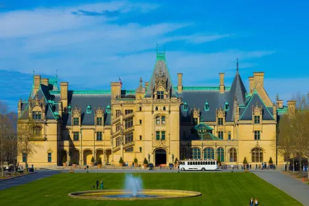 Come to Asheville! Treetop Mountain Views In Downtown AVL - FP, Dog Friendly!
