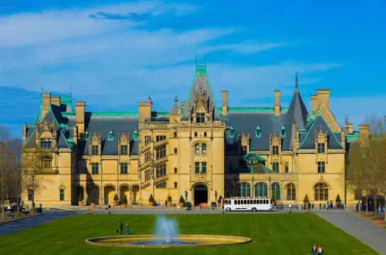 Lucerne Chalet - Treetop Mountain Views in Downtown Asheville -FP, Dog Friendly!