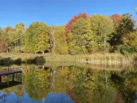 Secluded cabin in a Pine forest, just minutes away from Crystal Mountain