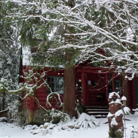 Laughing Bear Log Cabin, historical, sleeps 8, full kitchen, 2 dining areas!!