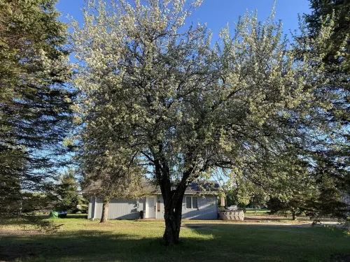 Up North getaway perfect  location for outdoor enthusiasts!