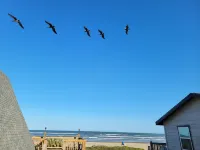 Beachfront Pathway Through the Dune onto the Beach