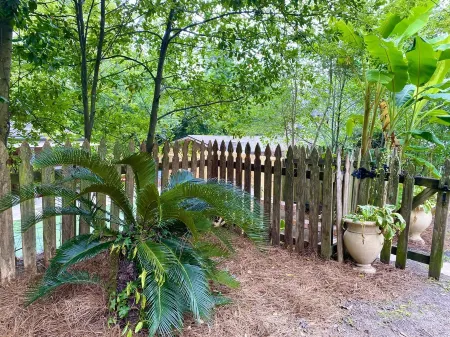 The Little Manor on 7th, secluded cottage moments from Historic Downtown Laurel