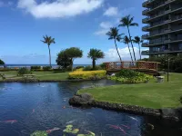 The Whaler!  ~Beautifully remodeled ground floor courtyard studio~