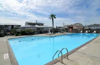 Oceanfront Queen's Grant Condo "Tide-the-Knot" with Breathtaking Ocean Views! - Pool
