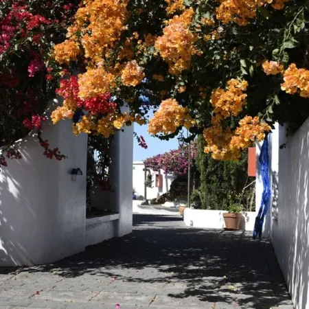 Terraced House  in Vignyard fantastic Sea and Mountainviews WiFi Bodega
