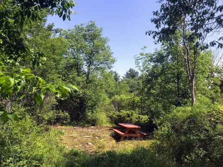 Dog-Friendly large rural Estate just outside Alex Bay with hot tub and pool!